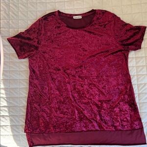 Luxurious Velvet Short Sleeve Tee in Burgundy